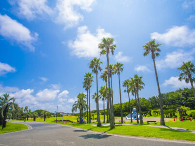 【湘南エリア】に愛犬とお出かけ！辻堂海浜公園で広い芝生と砂浜のダブル散歩を楽しもう
