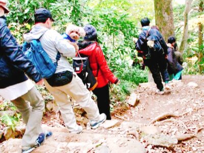 愛犬との登山デートなら【高尾山】！都内で絶景ハイキング