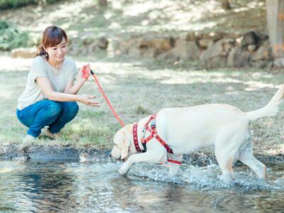 この夏、愛犬と川遊びを満喫するために知っておきたい！川遊びに必要なものと注意点