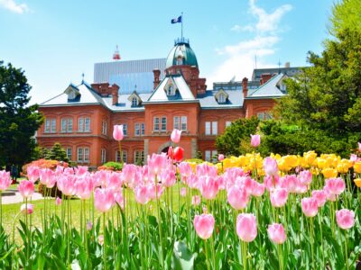 【札幌】のメジャー観光スポット10選、ペットOKかどうかを調べてみた